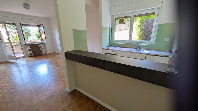 Affittasi appartamento di 2.5 locali con giardino a Massagno (6)