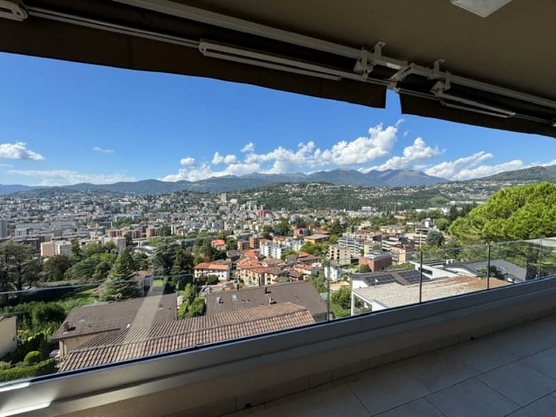 Affittasi splendido 5.5 locali attico vista lago a Viganello (28)