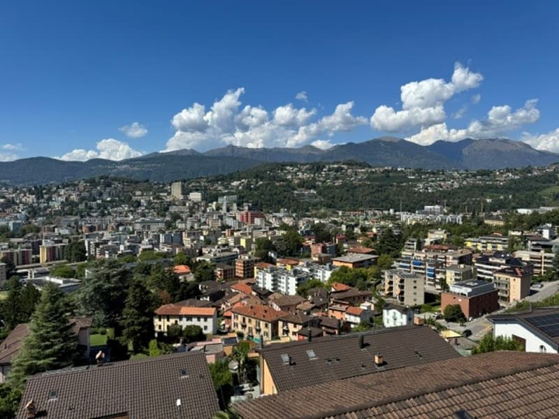 Affittasi splendido 5.5 locali attico vista lago a Viganello (6)