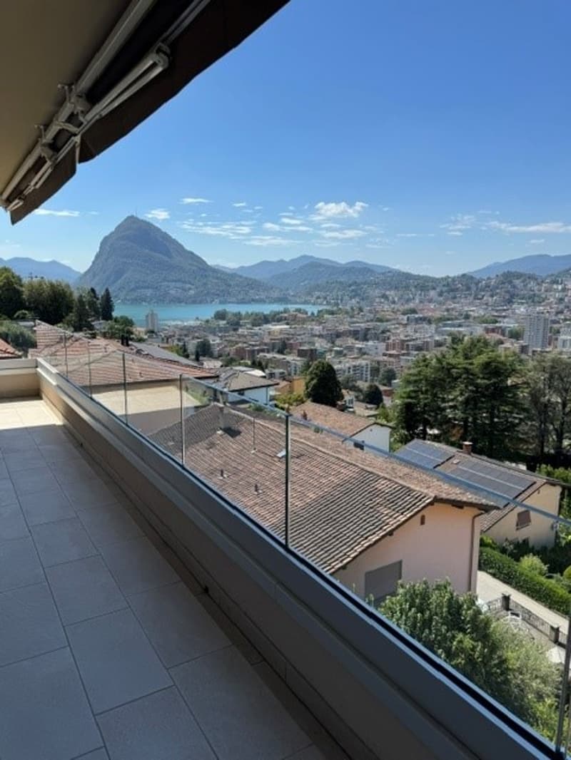 Affittasi splendido 5.5 locali attico vista lago a Viganello (5)