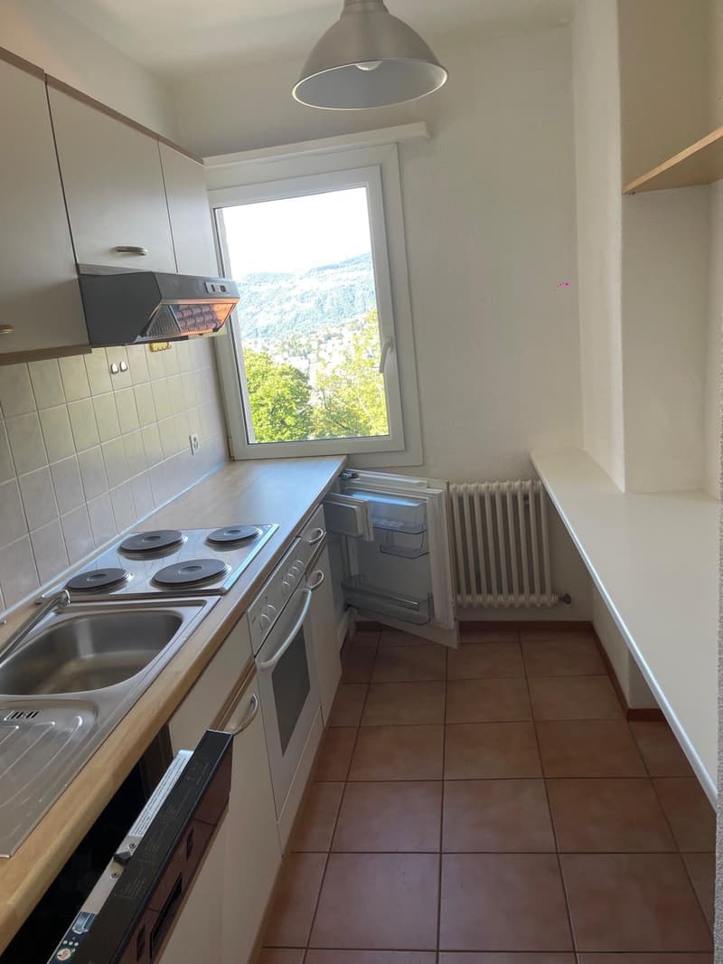 Appartamento di 3.5 locali con balcone e vista panoramica a Viganello (2)