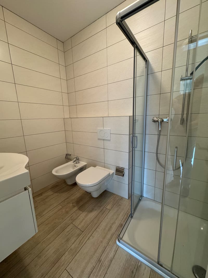 RESIDENZA SANROCCO A LUGANO - AFFITTASI 3.5 locali con vista lago (13)