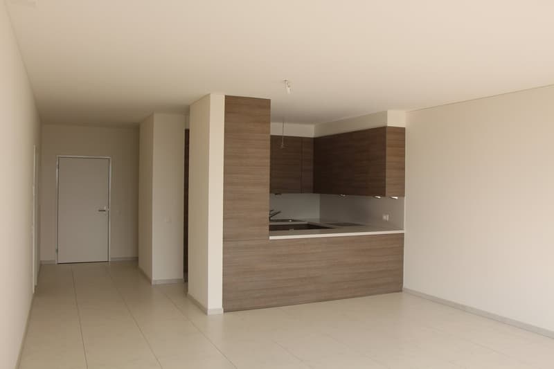 RESIDENZA SANROCCO A LUGANO - AFFITTASI 3.5 locali con vista lago (5)