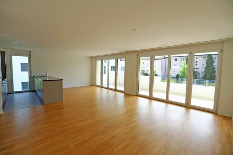 Appartement spacieux 4.5 pièces dans un quartier familial! (2)