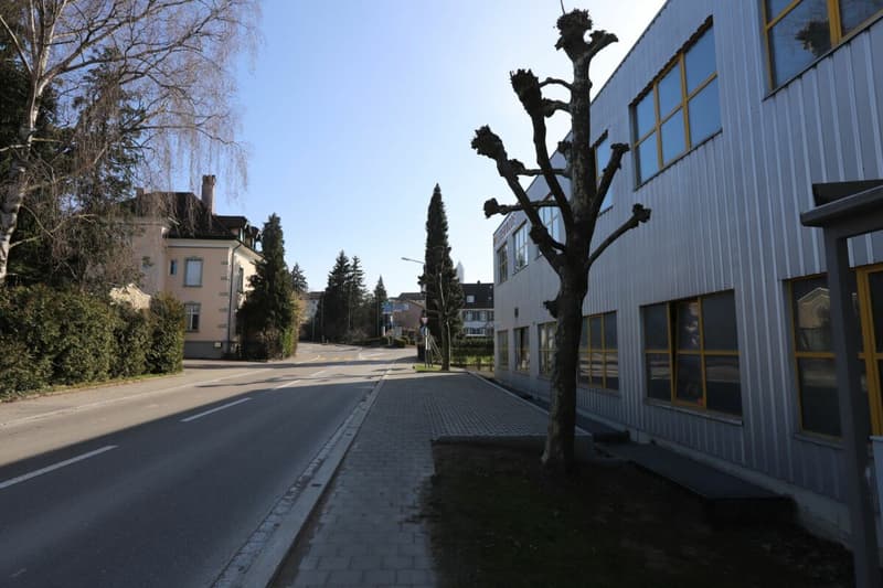 Spazio commerciale / spazio di stoccaggio ad Aadorf (12)