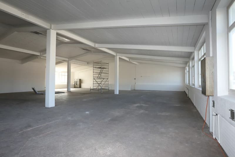 Spazio commerciale / spazio di stoccaggio ad Aadorf (2)