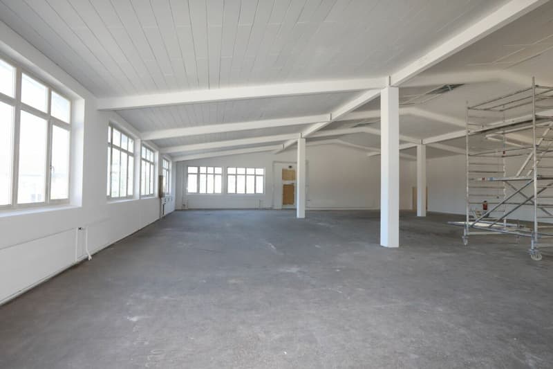 Spazio commerciale / spazio di stoccaggio ad Aadorf (4)