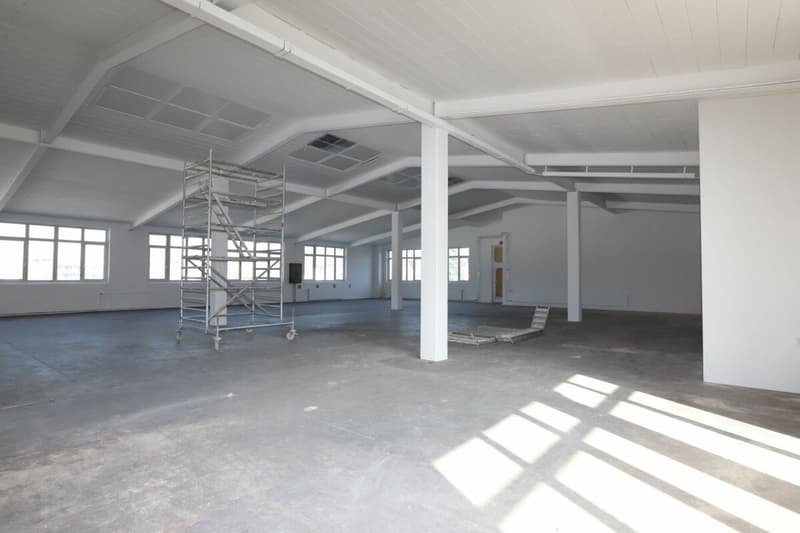 Spazio commerciale / spazio di stoccaggio ad Aadorf (5)