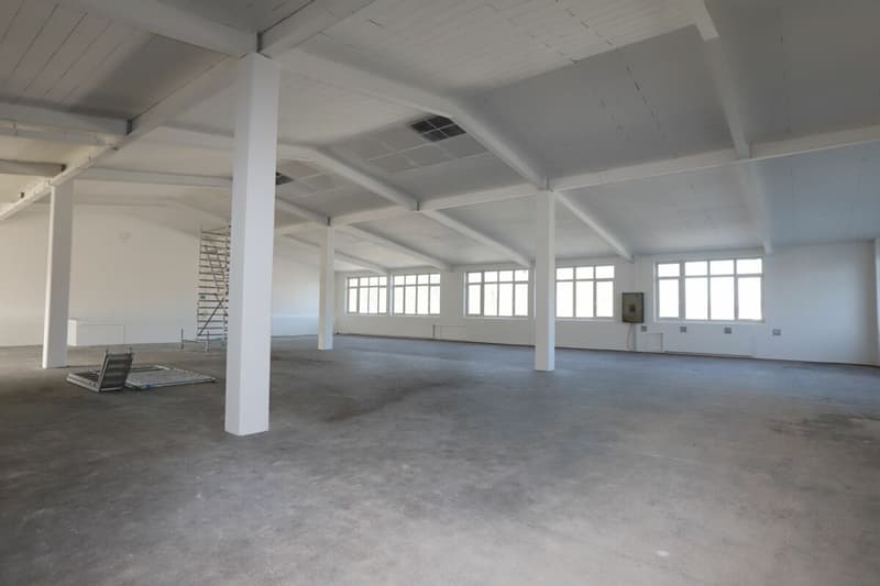 Spazio commerciale / spazio di stoccaggio ad Aadorf (3)