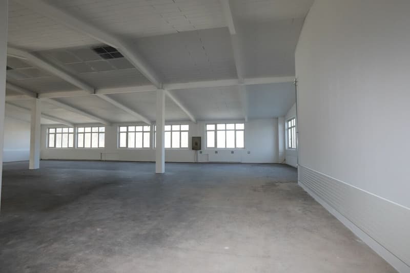 Spazio commerciale / spazio di stoccaggio ad Aadorf (1)