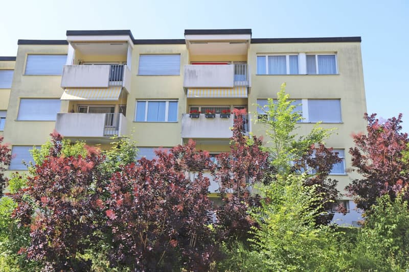 Spacious and elegantly designed apartment in a quiet and yet central location in Elsau - rent-to-own possible (13)