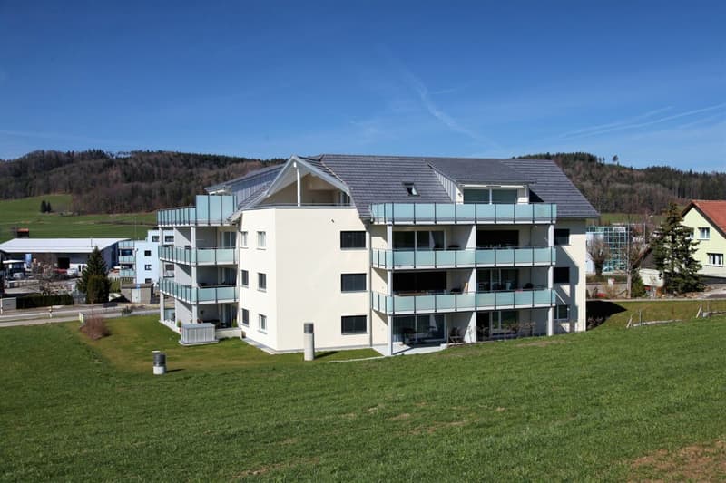 Modern 4.5-room ground-floor apartment with a view of the green! (12)
