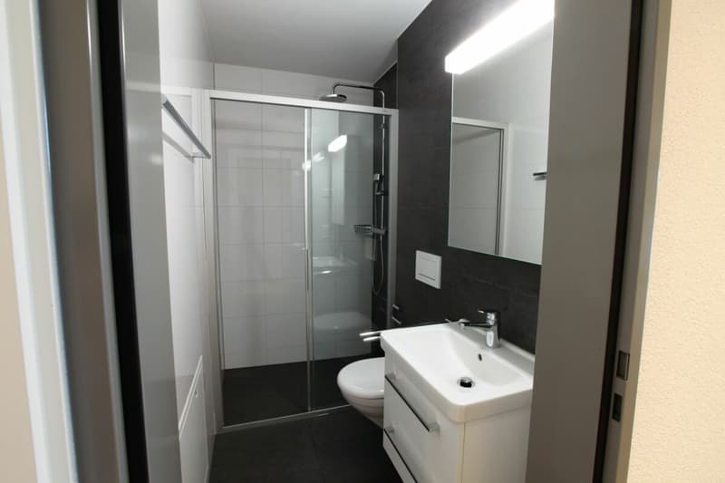 Modern 4.5-room ground-floor apartment with a view of the green! (6)