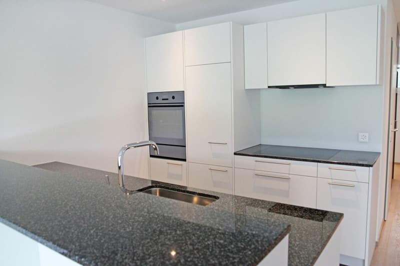 Modern 4.5-room ground-floor apartment with a view of the green! (3)