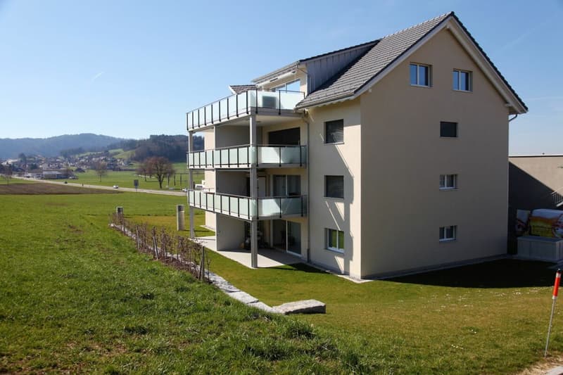 Modern 4.5-room ground-floor apartment with a view of the green! (11)