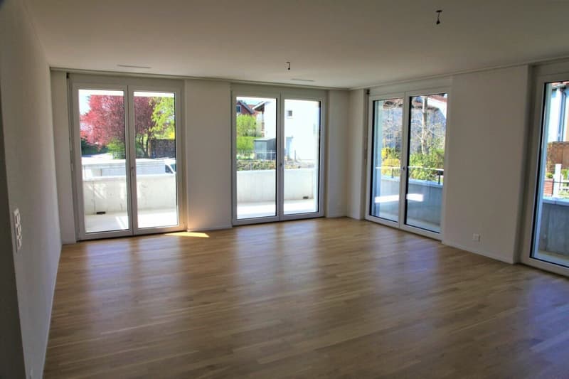 Moderne 3.5-Zimmerwohnung mit Balkon. (3)