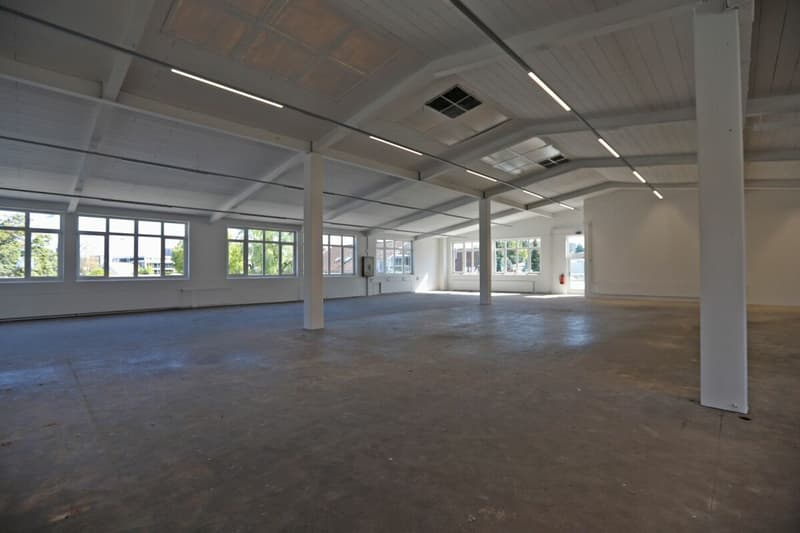 Gewerberaum / Lagerraum in Aadorf (6)