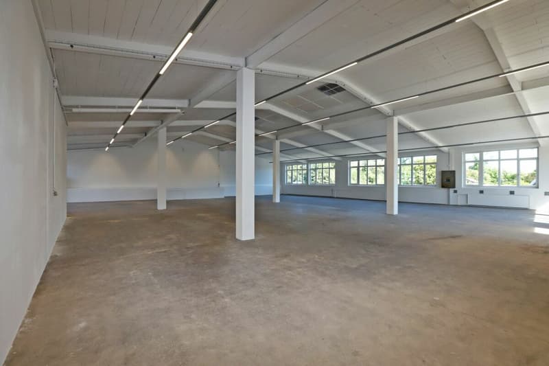 Gewerberaum / Lagerraum in Aadorf (1)