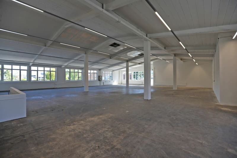 Gewerberaum / Lagerraum in Aadorf (5)