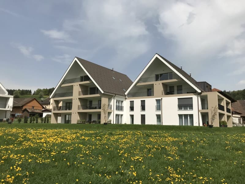 Aussen4