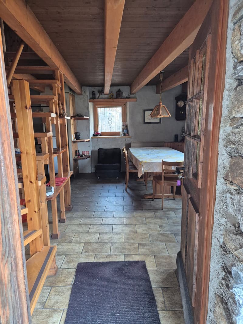 Monti di Ludiano: typical rustic house amidst nature (8)
