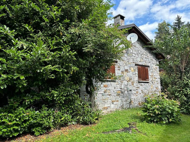 stone house, 2 windows, chimney, satellite dish, surrounded by plants, grassy area