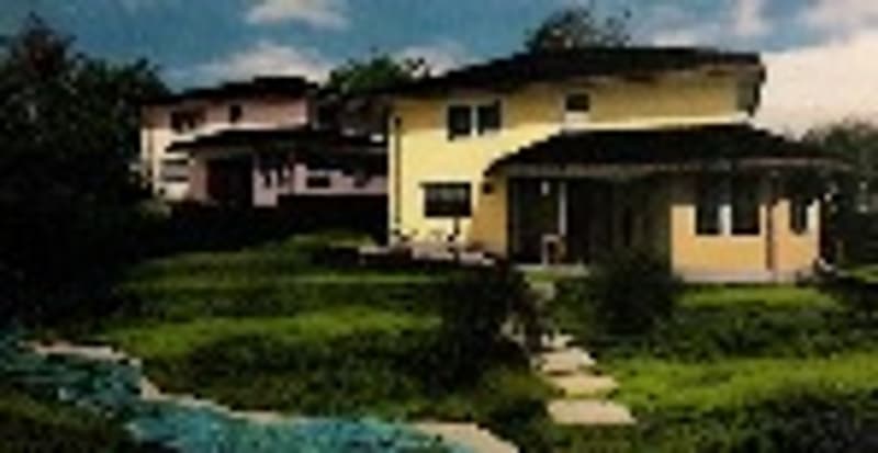 Single story house, yellow, surrounded by grass and small pond, pool in front, trees in the background