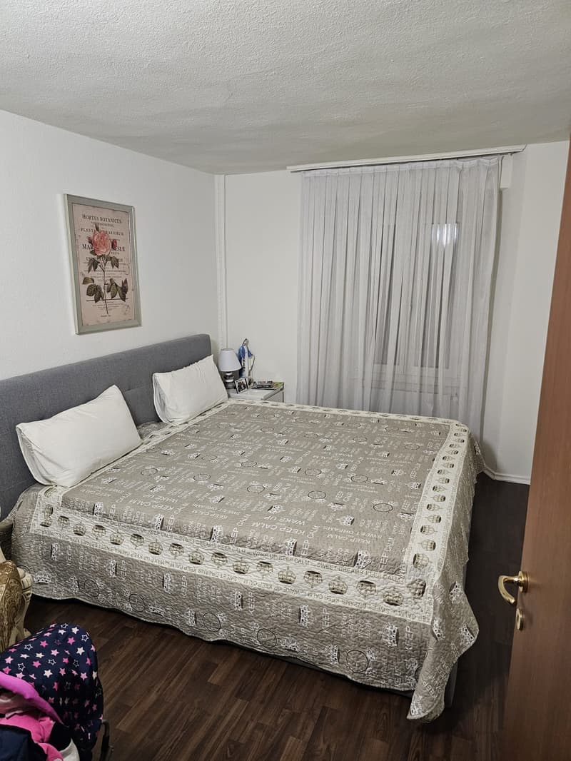 Bodio - Casa nel vecchio borgo (14)