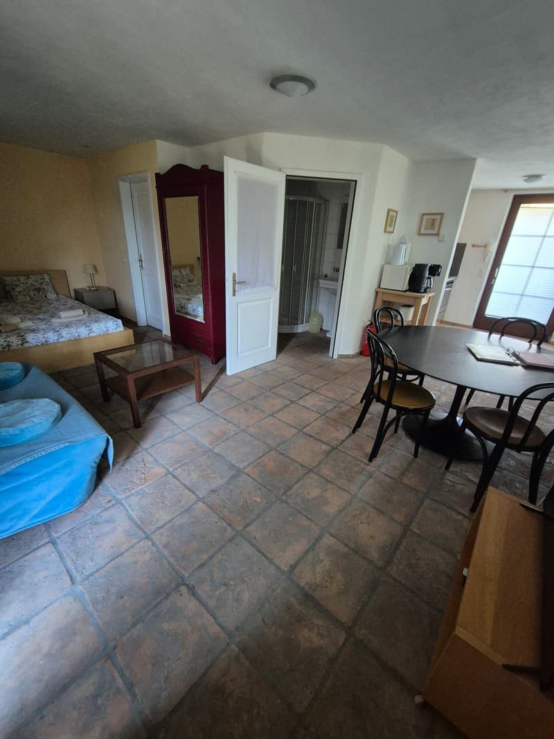 Ponto Valentino - Casa bifamigliare (8)