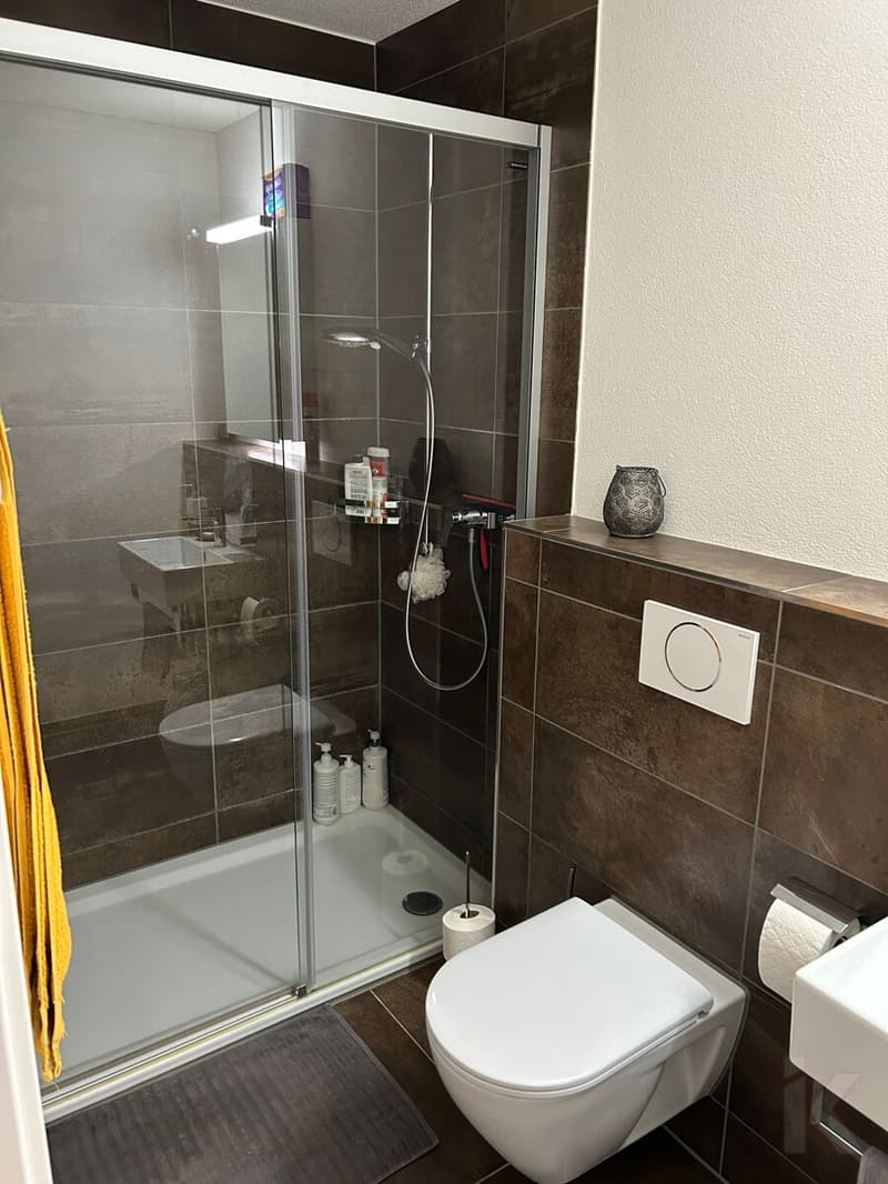Nasszelle mit Dusche