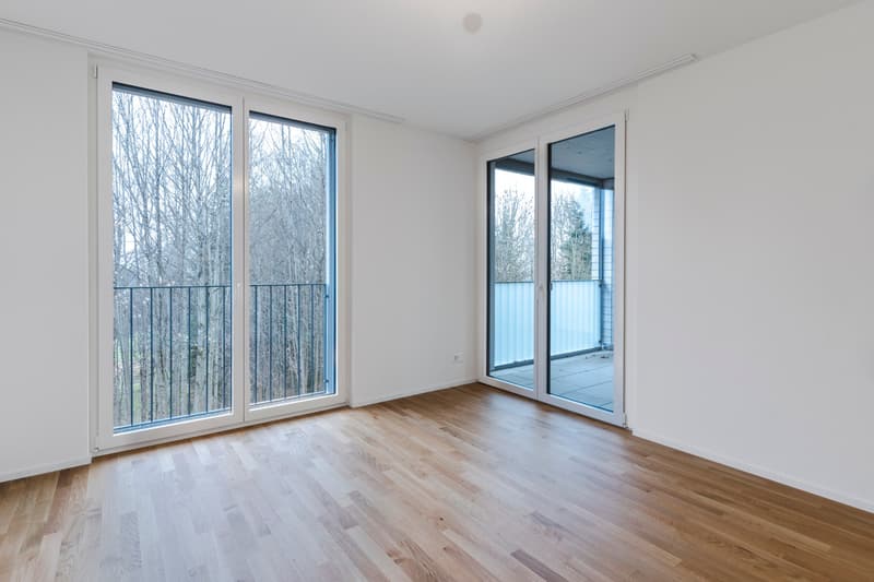 Charming 2.5-room apartment for rent in Schachen AR (2)