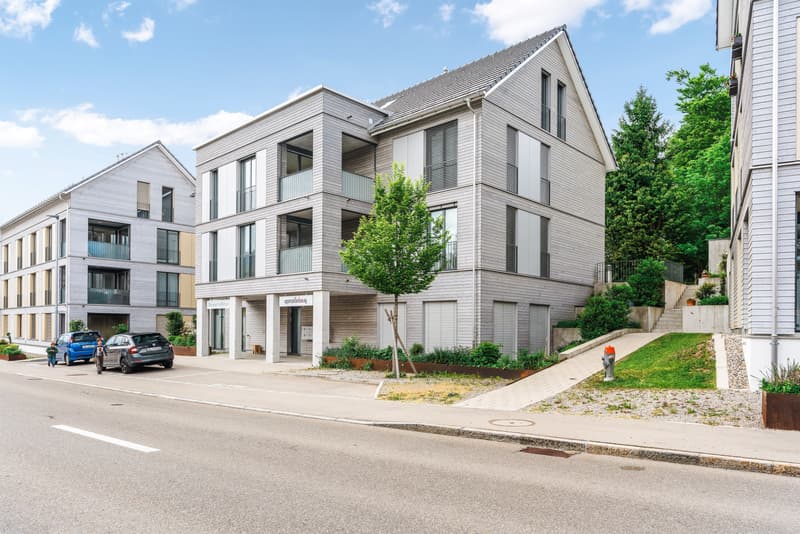 Charming 2.5-room apartment for rent in Schachen AR (1)