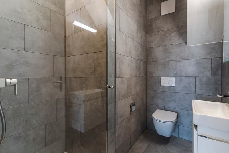 Charmante Dachwohnung an ruhiger Lage (6)