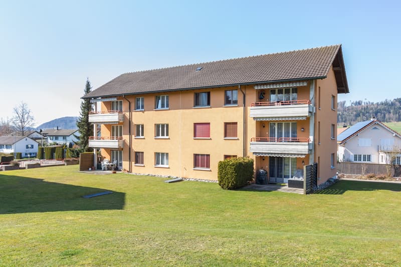 Grosszügige Wohnung an sonniger Wohnlage (7)