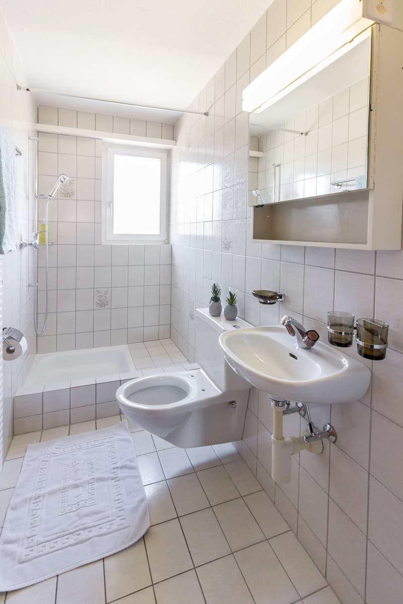 Grosszügige Wohnung an sonniger Wohnlage (2)
