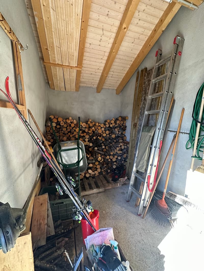 Chalet de 2 appartements 2,5 + 3,5 pièces (12)