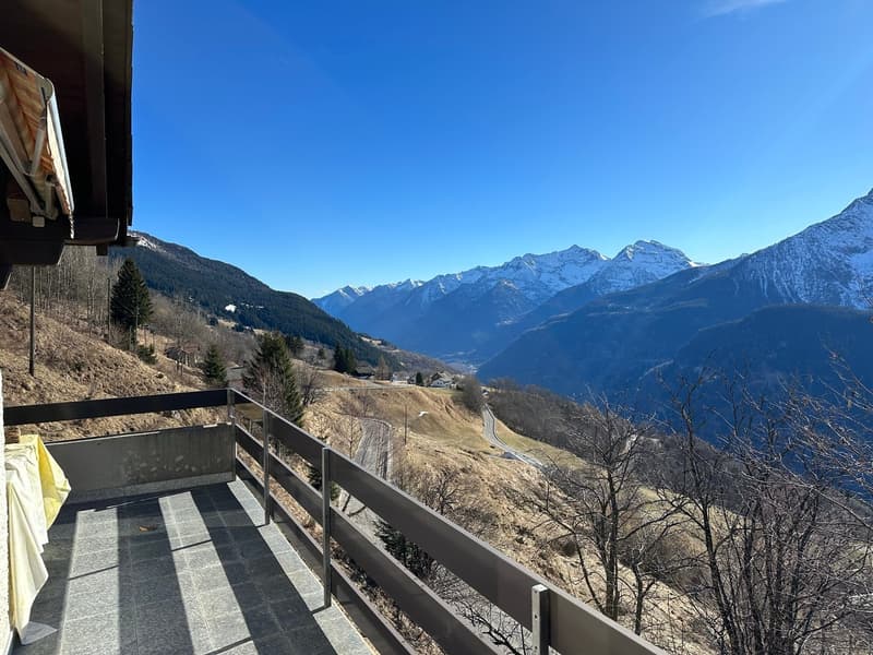 Chalet de 2 appartements 2,5 + 3,5 pièces (3)