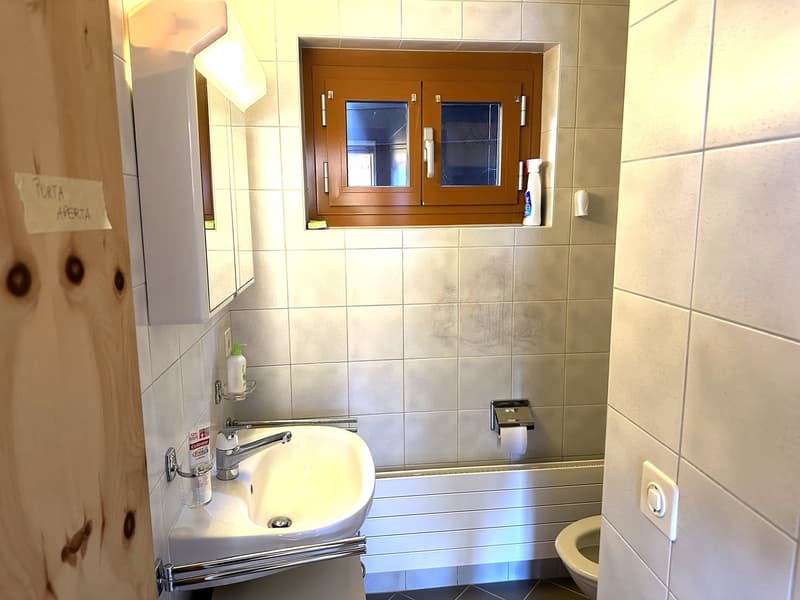 Chalet de 2 appartements 2,5 + 3,5 pièces (7)
