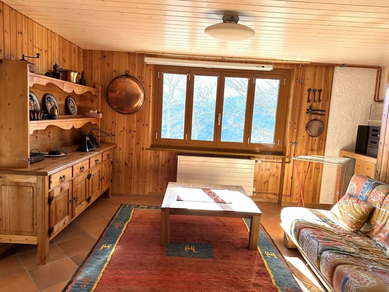 Chalet de 2 appartements 2,5 + 3,5 pièces (5)