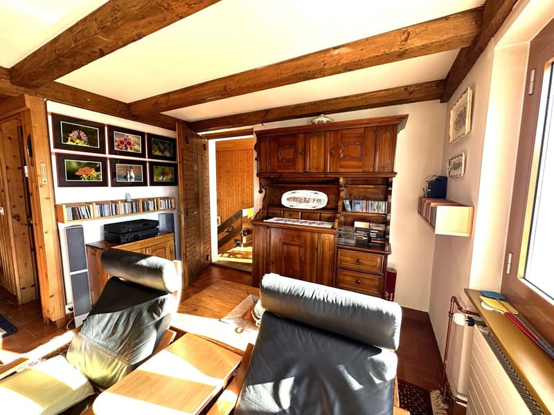 Chalet de 2 appartements 2,5 + 3,5 pièces (8)