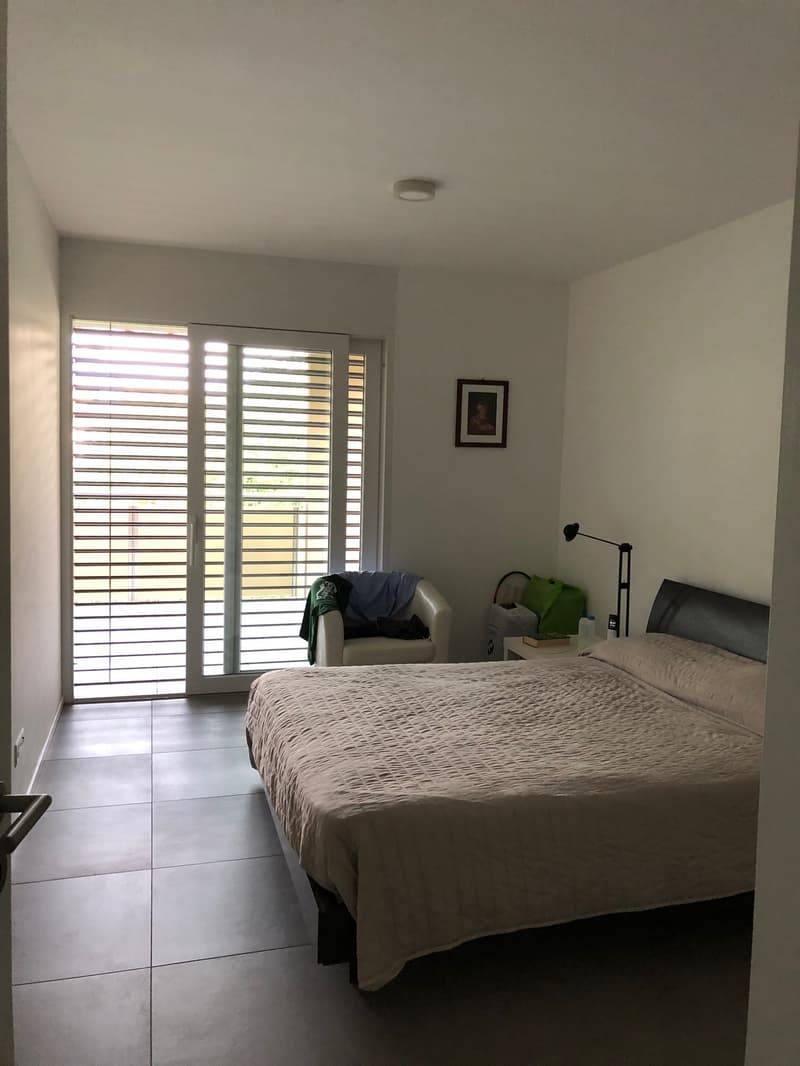 Spacious 2.5 rooms, garage box and external parking included! (4)