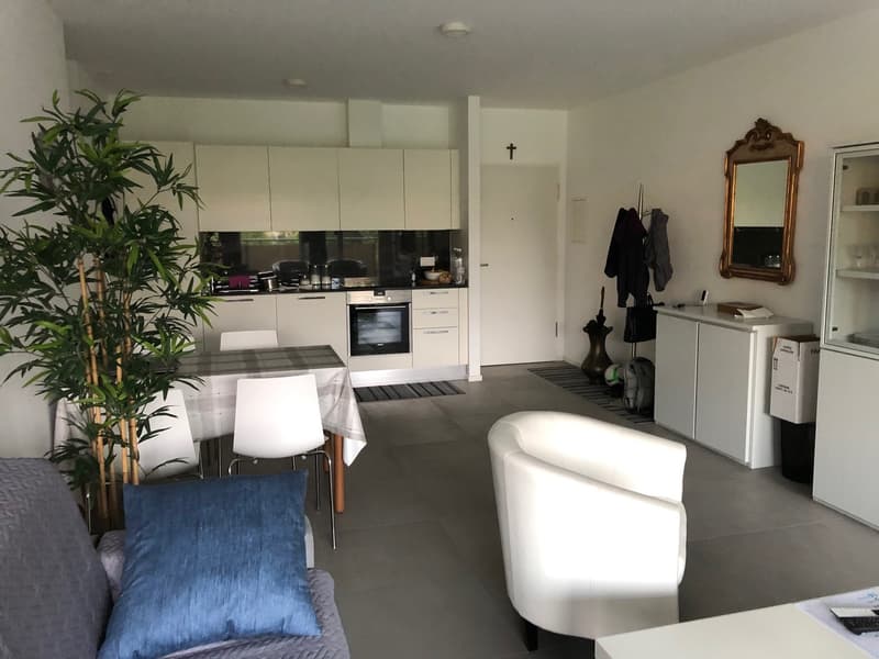 Spacious 2.5 rooms, garage box and external parking included! (3)