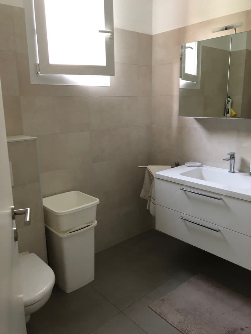 Spacious 2.5 rooms, garage box and external parking included! (5)
