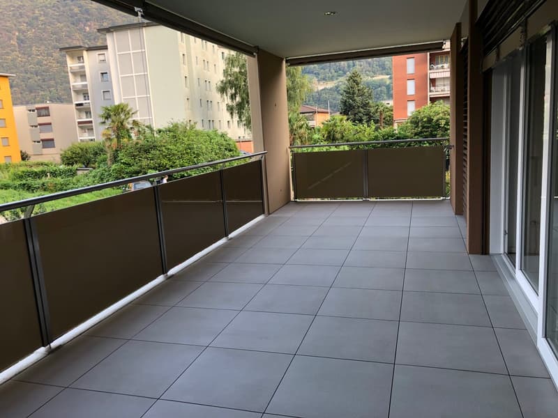 Spacious 2.5 rooms, garage box and external parking included! (6)
