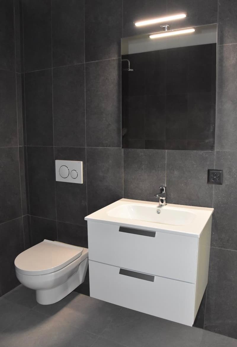 Bright 2.5-room apartment, top floor! (5)