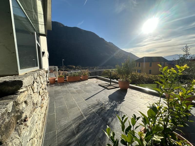 large rooftop terrace, large stone wall, green plants, paved tiles, mountain view