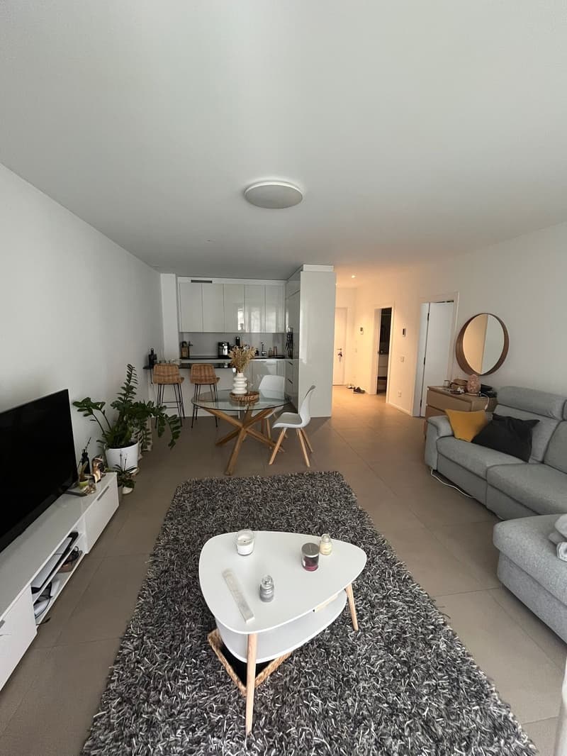 white and beige living room with large gray rug, round table, two sofas, TV on white shelf, open kitchen with white counters