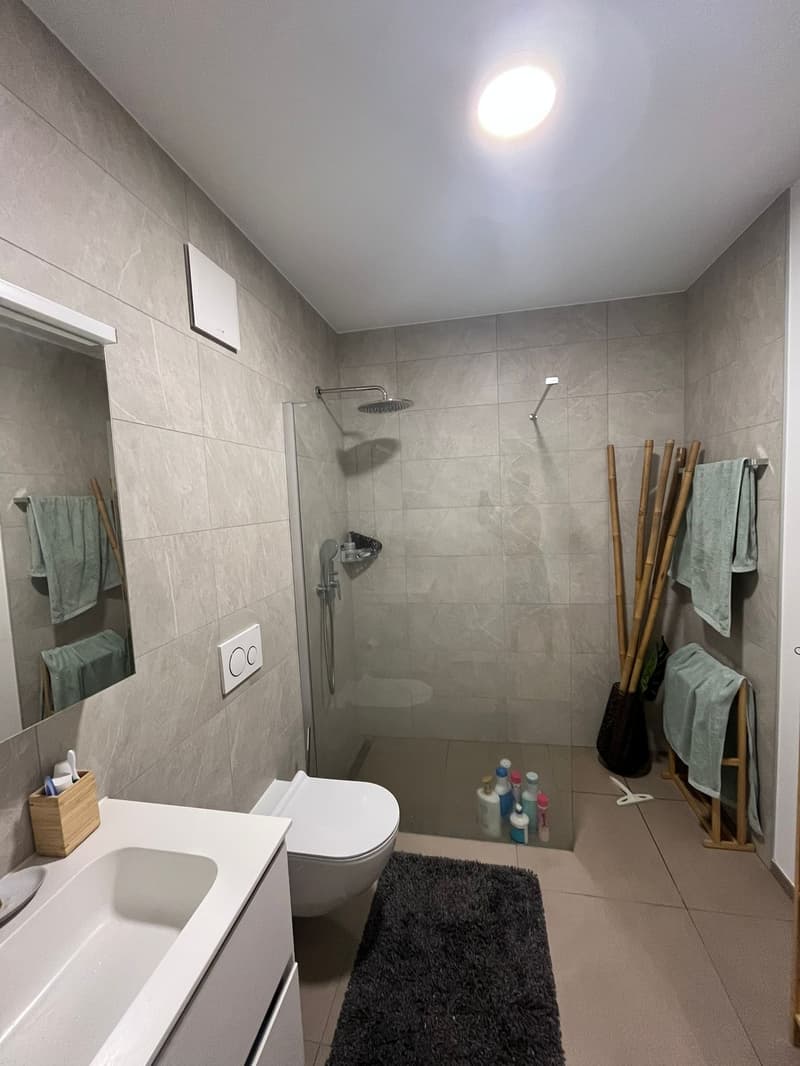 tiled walls, glass shower, white toilet, grey tiled floor, white sink, modern design
