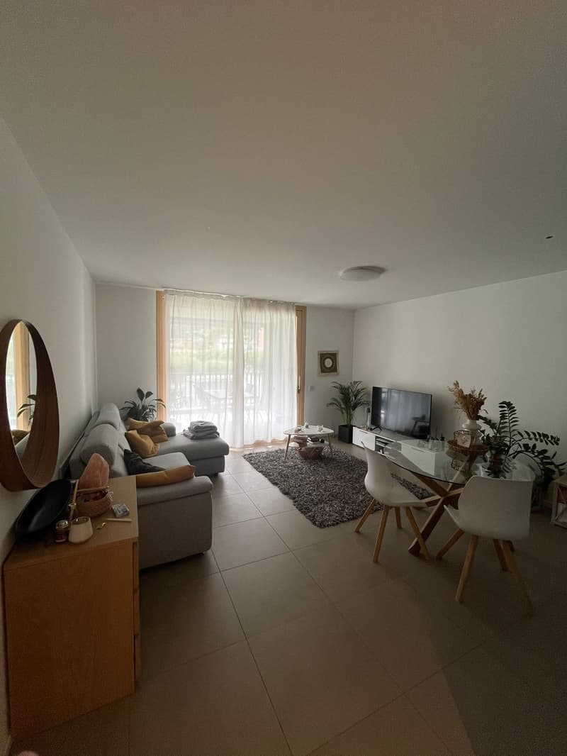 modern interior, gray couch, white curtains, dining table, potted plants, flatscreen TV