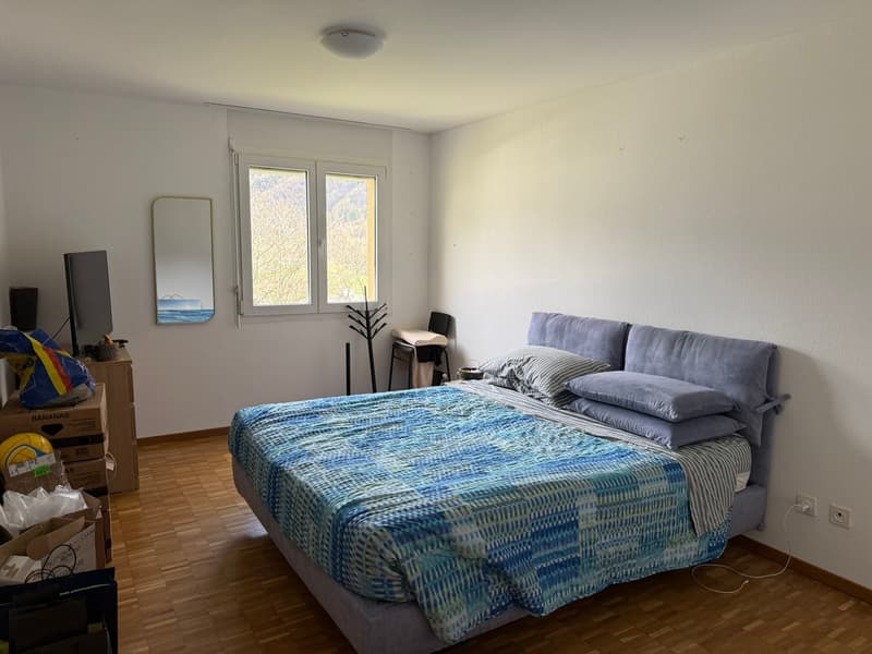 queen size bed, blue bedding, wooden floor, window with view of nature, mirror, small table with lamp, chair, TV on a cabinet, electrical outlets